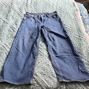 American Eagle Outfitters Blue Flare Jeans